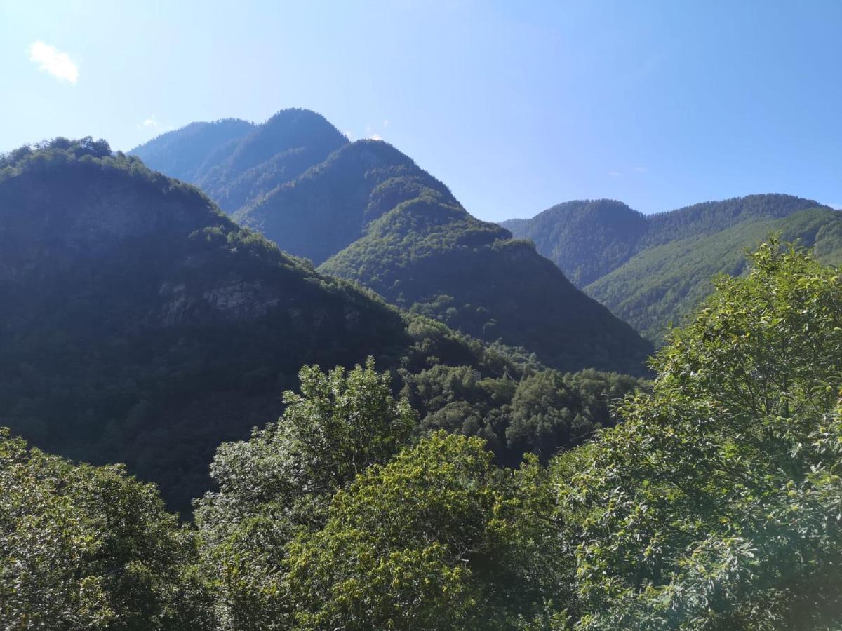 Casa Cantoni Lavizzara Esterno foto